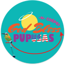 God Bless PupUSAs -N- Crepes Logo